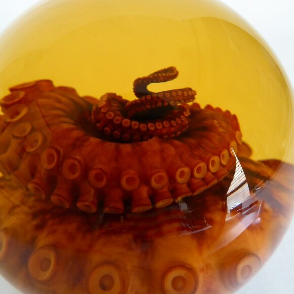RED TIGER OCTOPUS TENTACLE GLASS GLOBE WET SPECIMEN PROFESSIONAL TAXIDERMY - Picture 10 of 11
